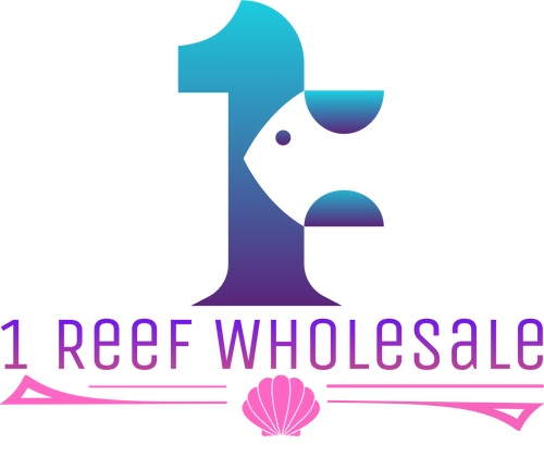 1 Reef Wholesale